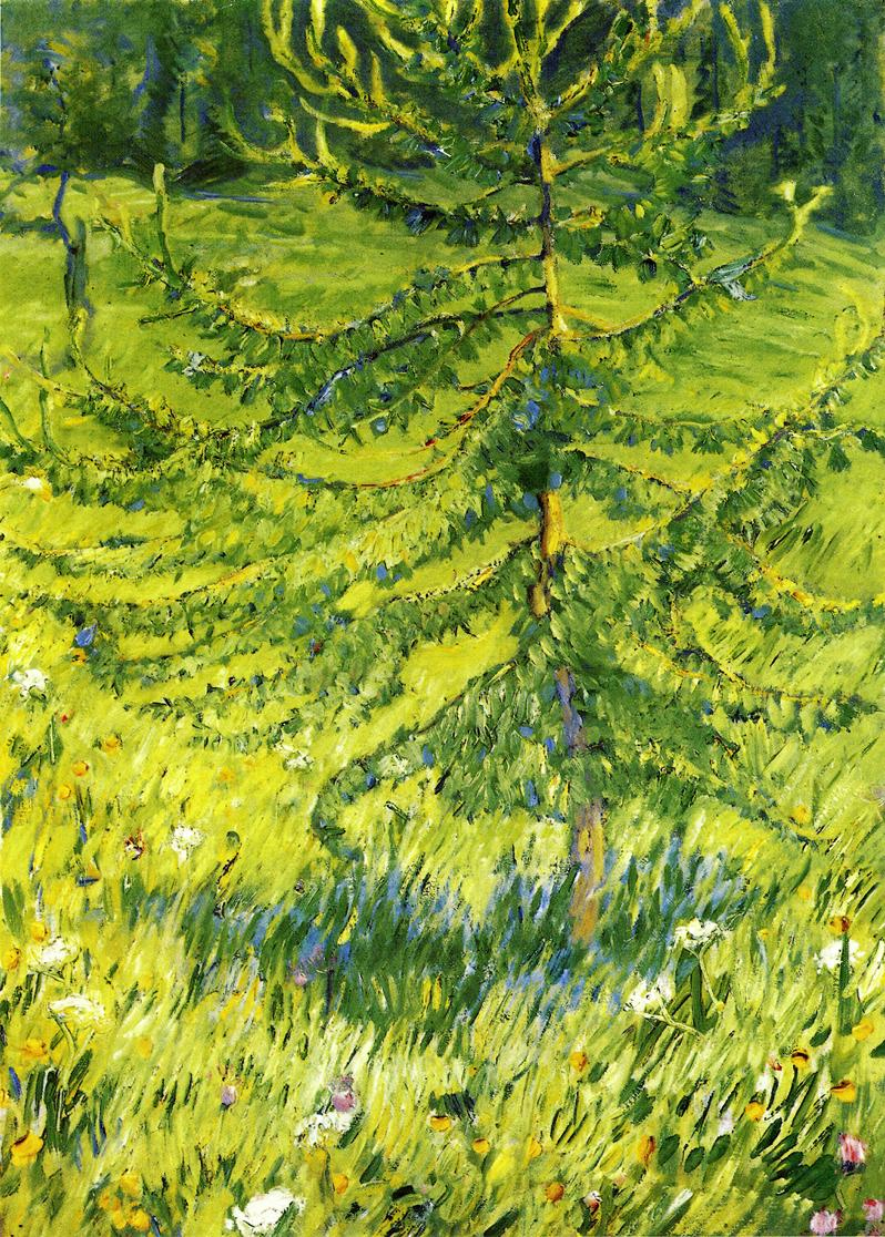 (image for) Handmade oil painting Copy paintings of famous artists Franz Marc's art Larch Sapling 1908 - Click Image to Close